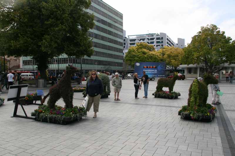 Nieuw-Zeeland 2011 - 2143